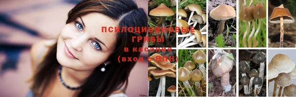 меф Алексеевка